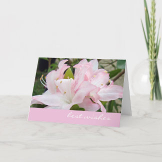 Pink Azaleas Greeting Card