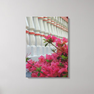Pink Azaleas - Martha's Vineyard Canvas Print