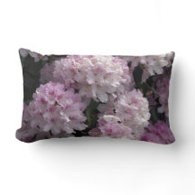 Pink Azaleas, Rhododendron Garden Flowers