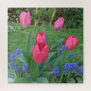 pink,background, blossom, flower, nature, summer, jigsaw puzzle