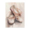 Pink Ballet Shoes Postcard