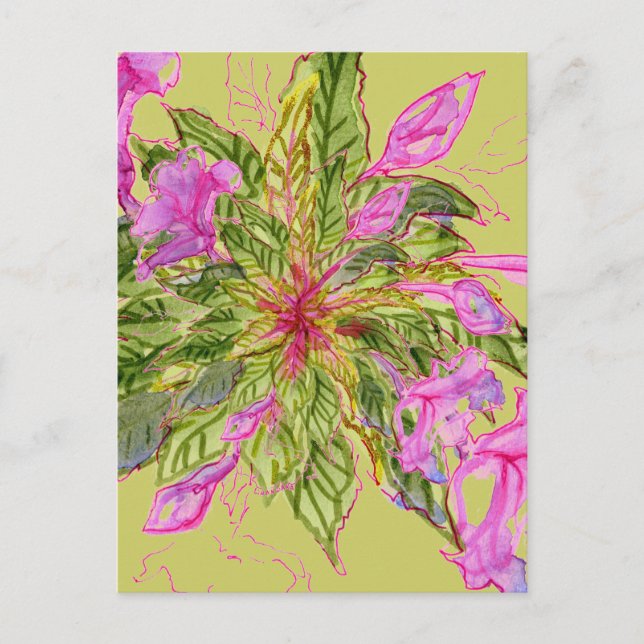 Pink Balsam Flowers Bouquet on Green Postcard (Front)