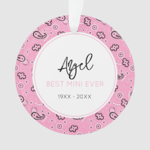 Pink Bandana Pet Photo Memorial NAME Horse Ornament