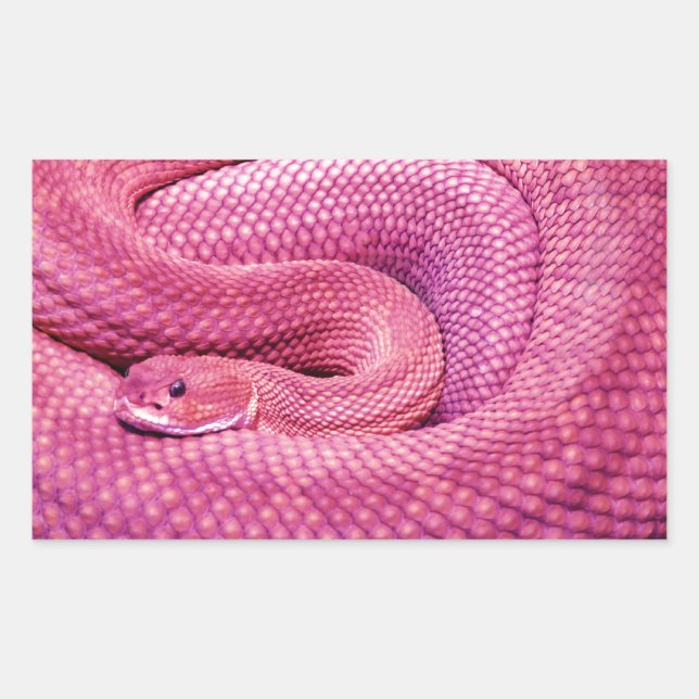 Pink Basilisk Rattlesnake Sticker (Front)