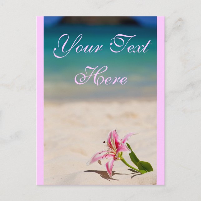Pink Beach Lily Postcard (Front)