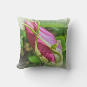 Pink Beach Rose Rosebud Throw Pillow