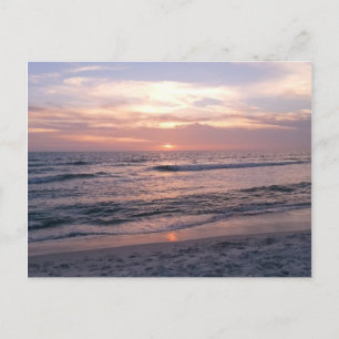 Pink Beach Sunset Postcard