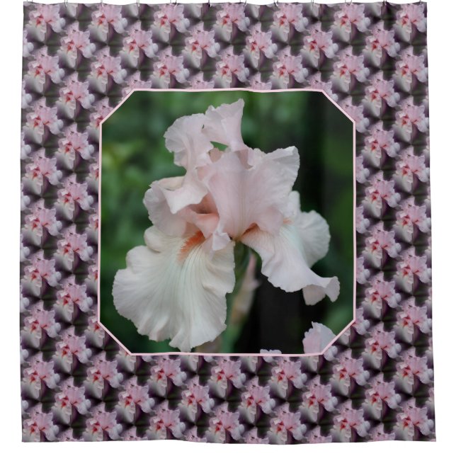 Pink Bearded Iris Flower Pattern (Front)
