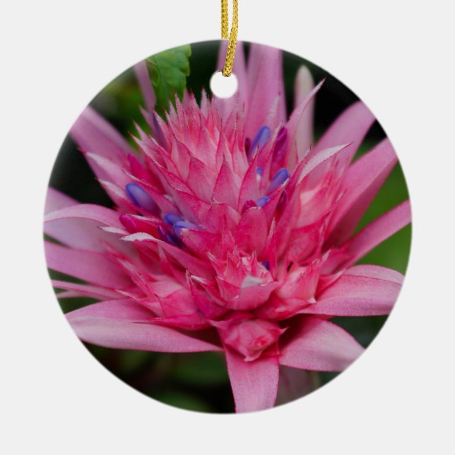 Pink Beauty Ceramic Ornament (Front)