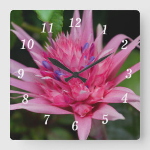 Pink Beauty Wall Clock