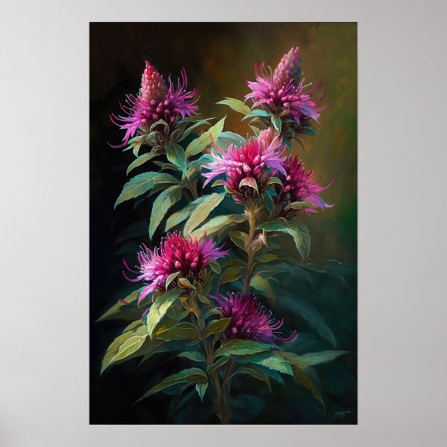 Pink Bee Balm Art Imprimer Poster (Devant)