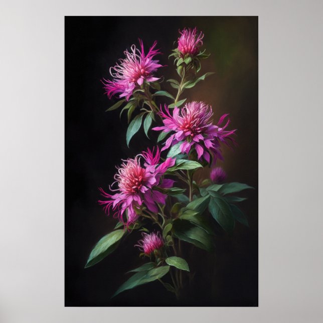 Pink Bee Balm Art Imprimer Poster (Devant)