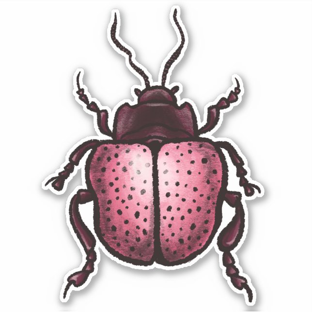 Pink Beetle Cute Bug Art - Insect Lover (Front)