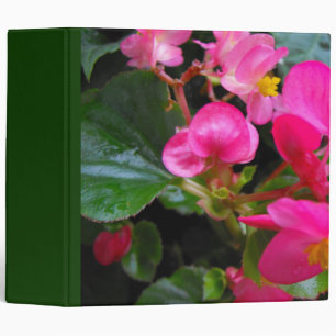 Pink Begonia Binder
