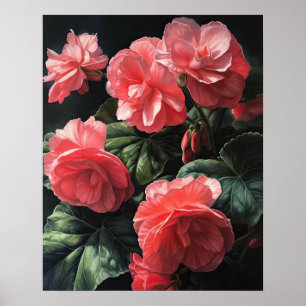 Pink Begonia Flowers Art Print Poster