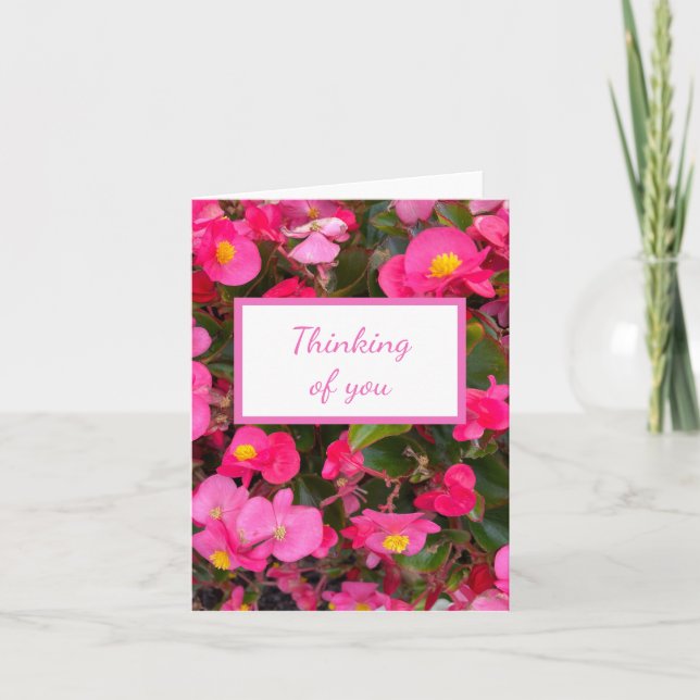 Pink Begonia Flowers Thinking of you Card (Front)