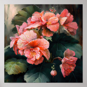 Pink Begonias Flower Art Print Poster