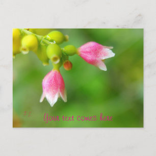 pink bells holiday postcard
