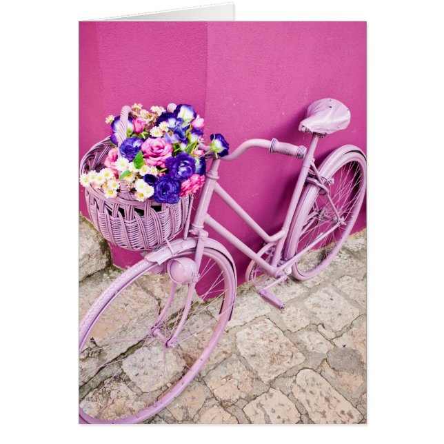 Pink Bicycle (Front)