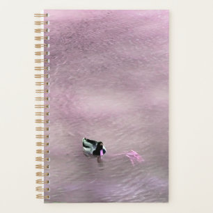 Pink Billed Duck on Water Planner