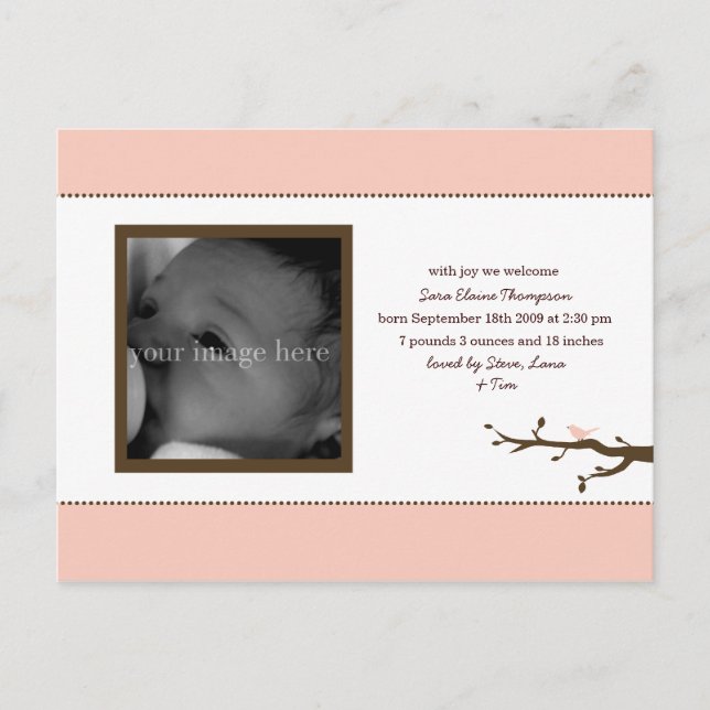 Pink Bird Baby Announcement Postcard (Front)