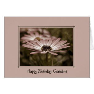 Pink Birthday Daisy for Grandma
