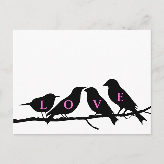 Pink Black and White Love Birds Postcard (Front)