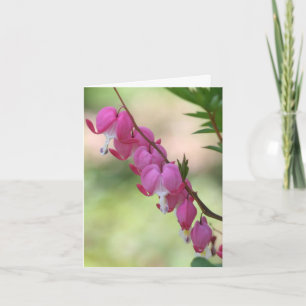 Pink Bleeding Hearts Flower Photography  Note Card