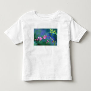 Pink bleeding hearts in garden. Credit as: Toddler T-shirt