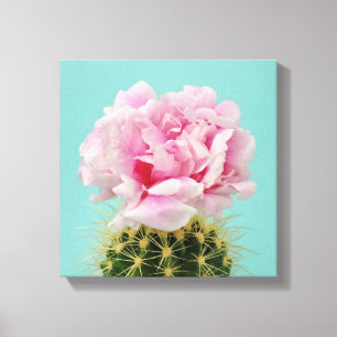 Pink Bloom Atop Spiky Cactus Canvas Print