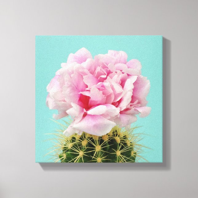 Pink Bloom Atop Spiky Cactus Canvas Print (Front)