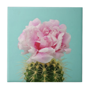 Pink Bloom Atop Spiky Cactus Tile