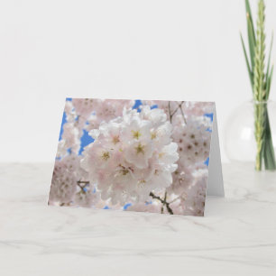 Pink Blossom Balls. Card