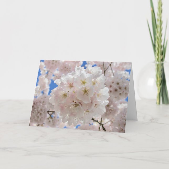 Pink Blossom Balls. Card (Front)