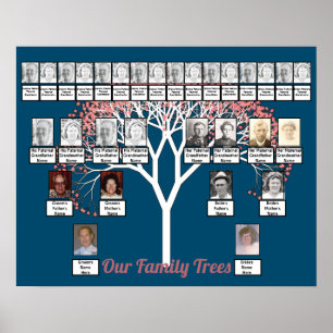 Pink Blossom Fractal Tree Blue 2 Family Trees Poster