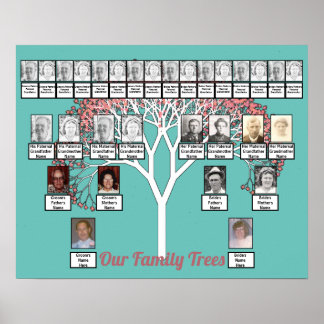 Pink Blossom Fractal Tree Teal 2 Family Trees Poster