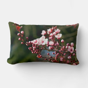 Pink Blossom in the warm summer light Lumbar Pillow