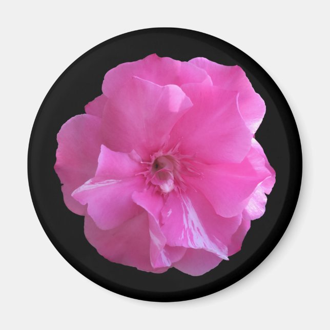 Pink Blossom Magnet (Front)