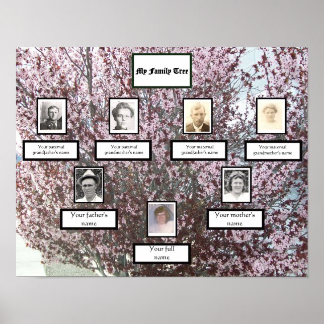 Pink Blossom Three-Generation Photo Family Tree Poster (Front)