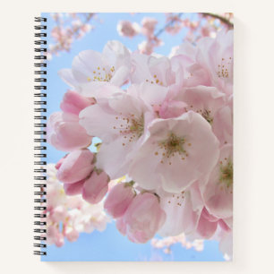 Pink Blossoms Blue Sky. Notebook