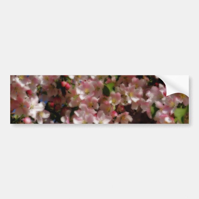 Pink Blossoms Flower Bumper Sticker (Front)