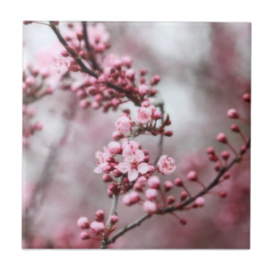 Pink Blossoms in Spring Photo Tile