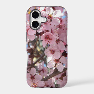 Pink Blossoms on Ornamental Flowering Tree