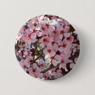 Pink Blossoms on Ornamental Flowering Tree 2 Inch Round Button