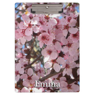Pink Blossoms on Ornamental Flowering Tree Clipboard