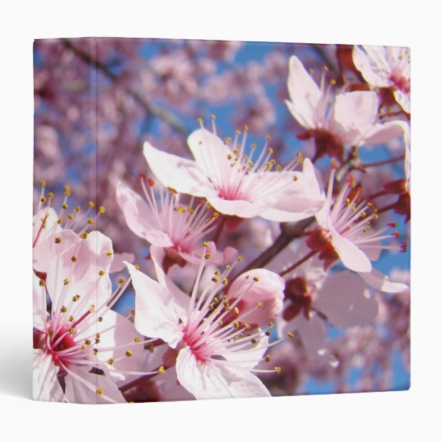 Pink Blossoms Spring Personalized binders Flowers (Front/Spine)