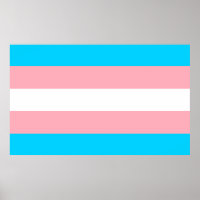 Pink, Blue and White Transgender Flag  