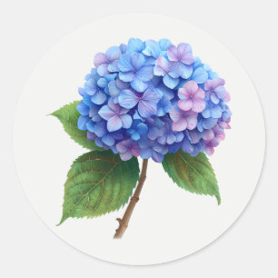 Pink Blue Hydrangea Garden Flower Floral art Classic Round Sticker