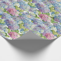 Pink Blue Hydrangeas in Bloom Floral