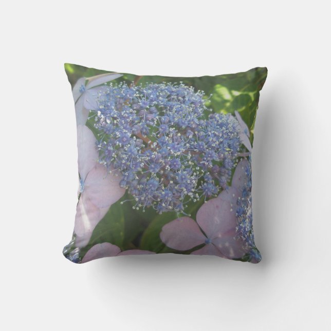 Pink & Blue Lace-Cap Hydrangea Blossoms - Pillows (Front)